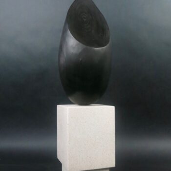 Buy Charred Poplar, Concrete of Black Oval on White Rectangle Box | Dutch | MAC Art Galleries